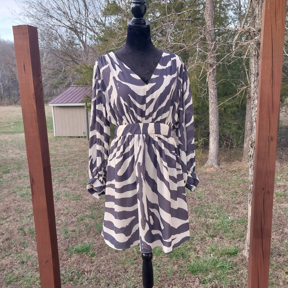 H&M Black and White Zebra Print Long Sleeve Dress